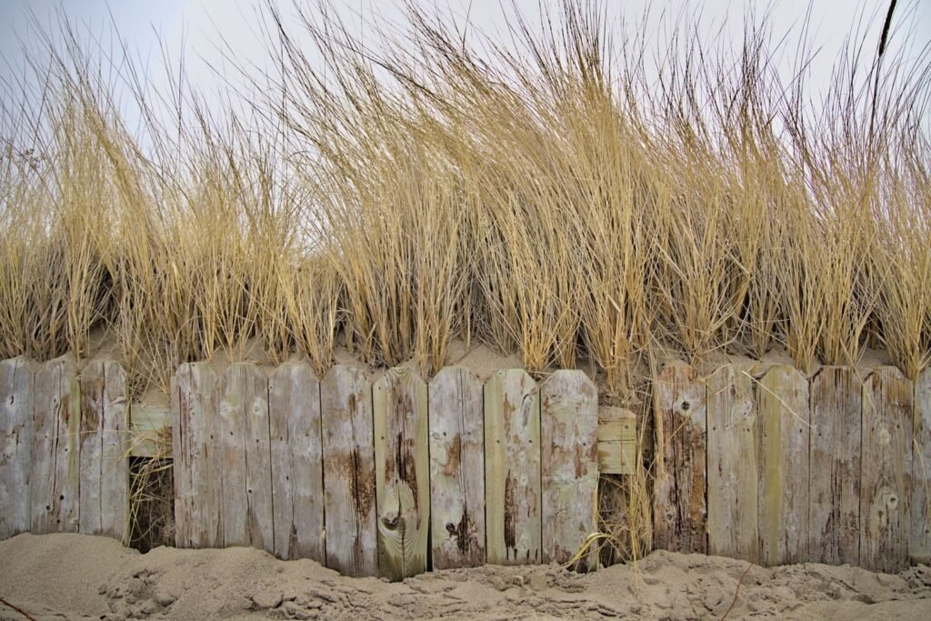 Paardrijden op het strand van Zandvoort