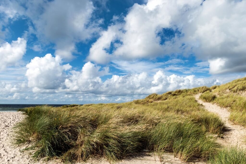 De strandafgangen van Zandvoort, zo kom je op het zand