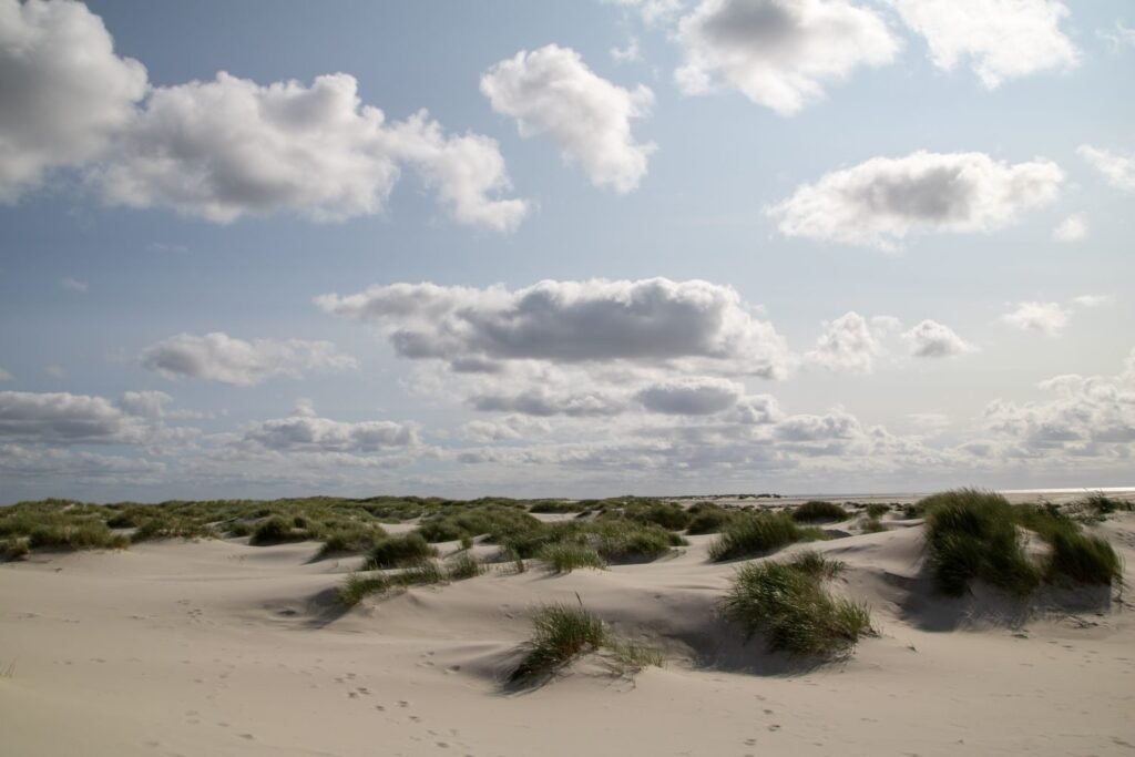 Een strandhuisje in Zandvoort, wat erbij komt kijken