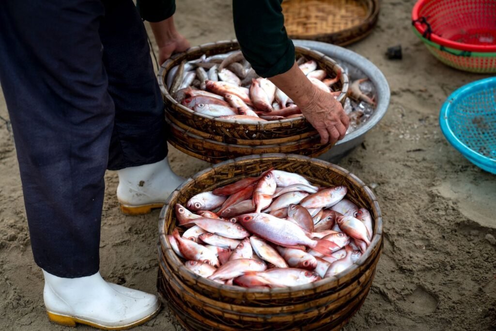 Vis eten in Zandvoort, van haring tot kibbeling